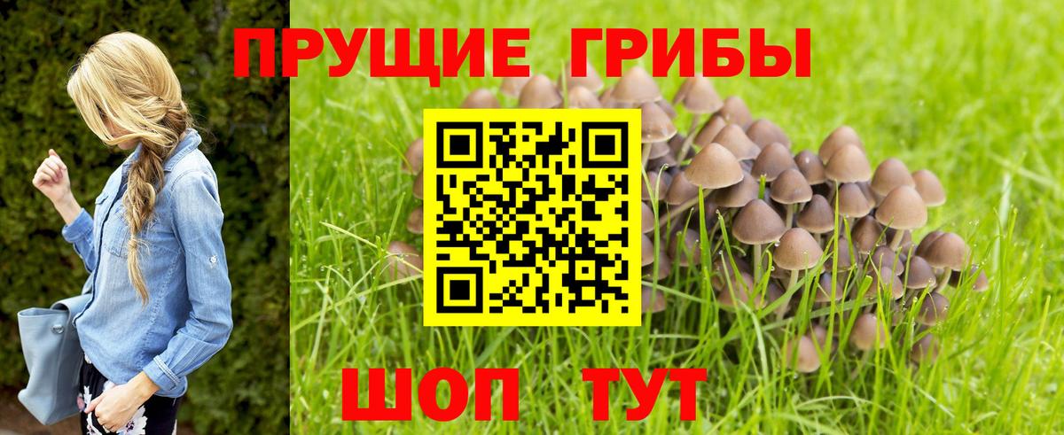 Галлюциногенные грибы Magic Shrooms Элиста